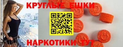 гидра Тавда