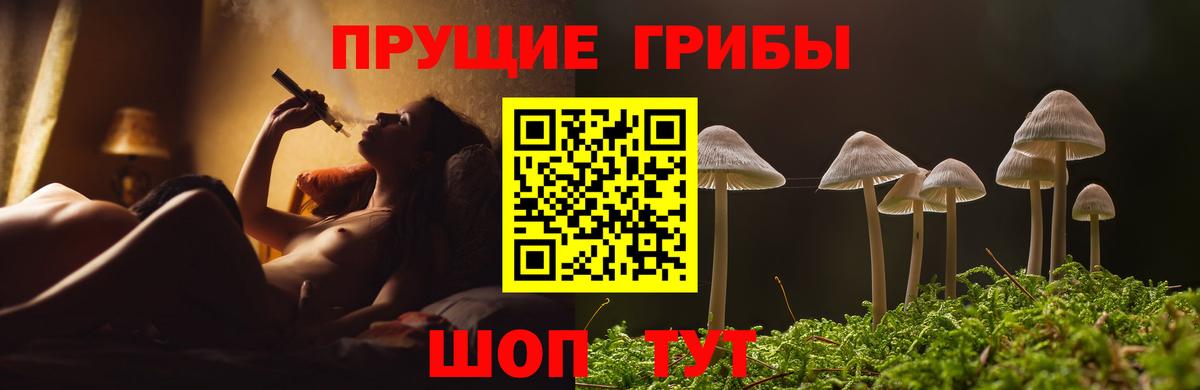 Псилоцибиновые грибы Psilocybe  Вход с VPN  Астрахань 