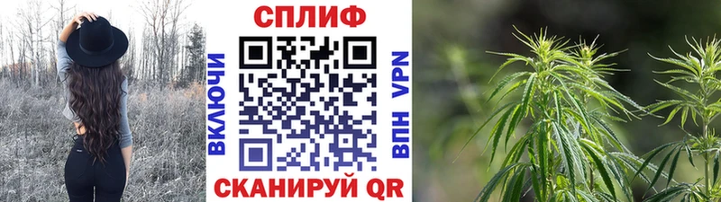сколько стоит  Астрахань  гидра сайт  МАРИХУАНА конопля 